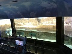 -成都浩海立方海洋公园