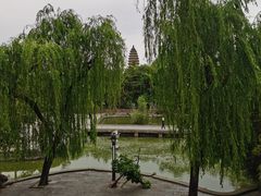 -洛阳白马寺