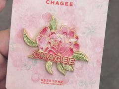 -合肥野生动物园