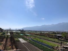 -翠田Green Field Kitchen