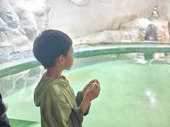 -北戴河圣蓝海洋公园