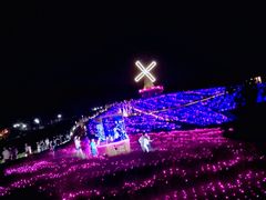 -大塘金香草谷