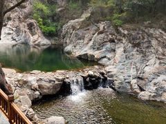 -赵记煎饼卷大葱(泰山大街店)