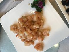 -普天和酒楼·新津菜·烤鸭(天津之眼店)