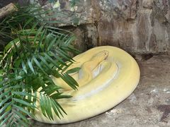 -上海大自然野生昆虫馆(东方明珠·爬宠昆虫探索中心)