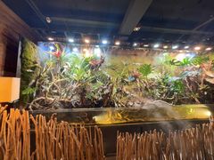 -玖壹咖啡(临河街店)