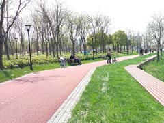 -上海山野camping·户外天幕烧烤·团建拓展营地