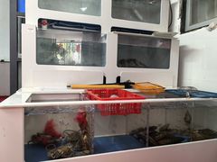 -金砂阿洲鱼册店