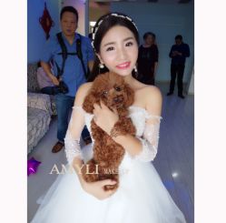 点击看大图 -艾米丽婚纱礼服