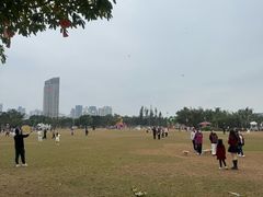 -万绿园