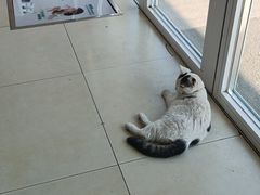 -宠福鑫康馨动物医院·骨科·眼科