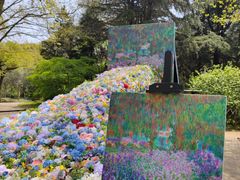 -上海共青森林公园