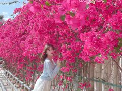 -有红鸡毛店·川菜(建设路店)