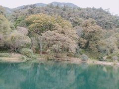 -玉湖村
