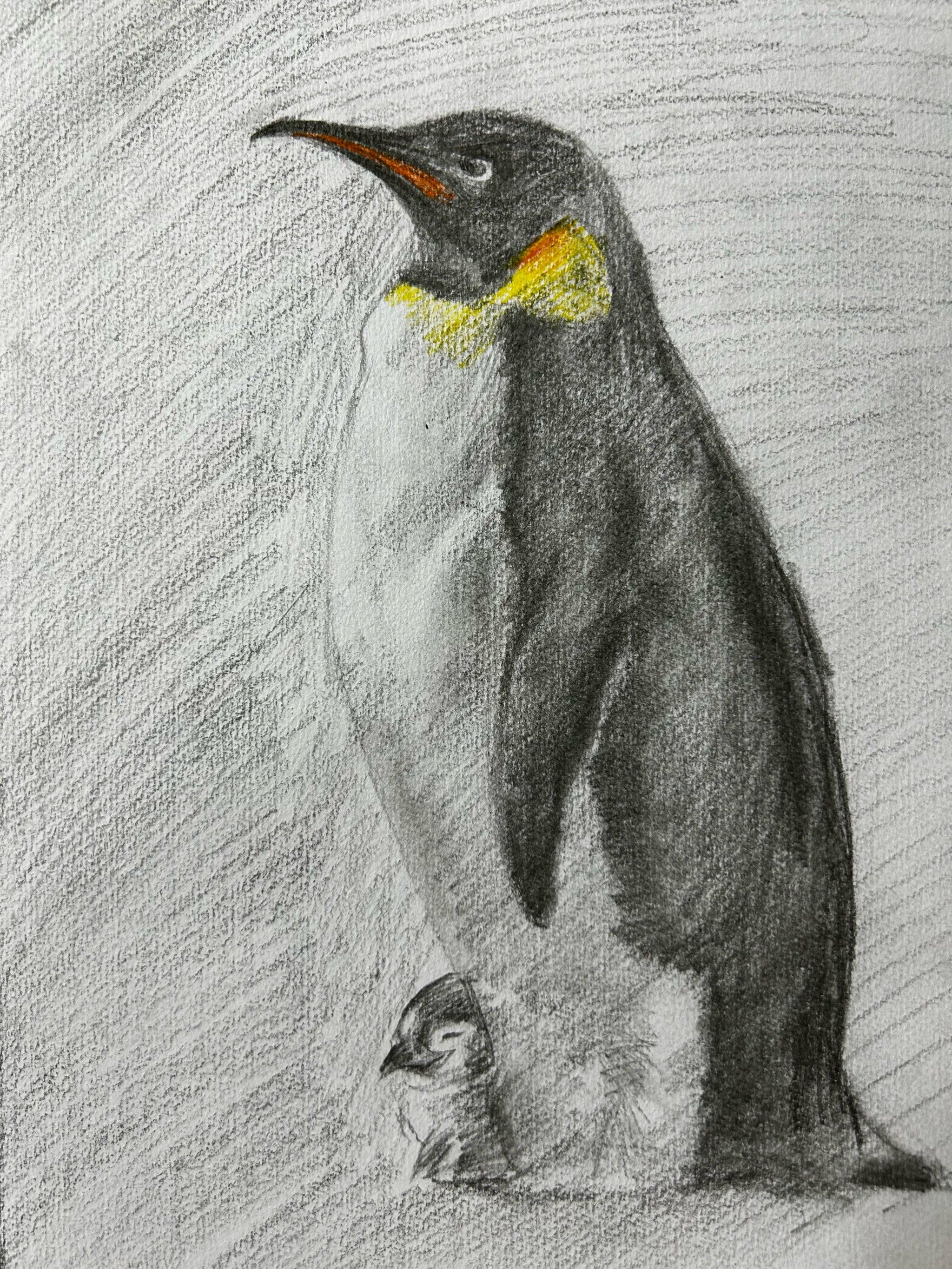 随手拍娃娃说喜欢企鹅爸爸带孩子#零基础学画画 #素描