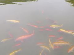 -南通博物苑-崇川人民公园