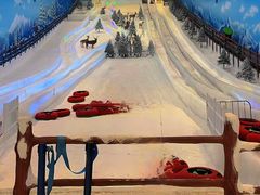 -世界之窗阿尔卑斯冰雪世界