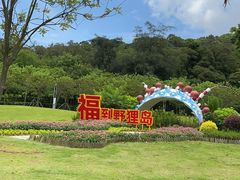 -野狸岛