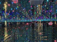 -天津梵高星空艺术馆(天河城旗舰店)