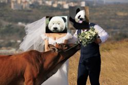 -绿皮火车照相馆 婚纱照旅拍(厦门店)