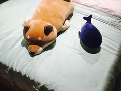 -九木杂物社(恒隆广场店)