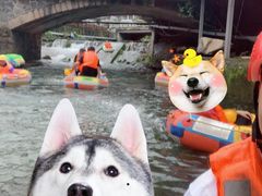 -藏龙百瀑漂流