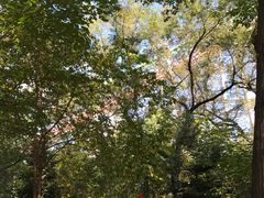 -哈尔滨文化公园