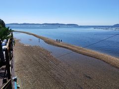 -小城粥道·海胆鲜虾粥(解放广场店)