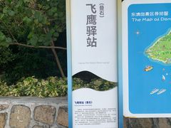 -东澳岛