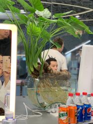 -MYYF SALON烫发染发