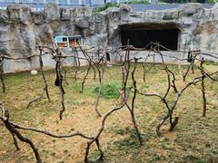 -杭州野生动物世界