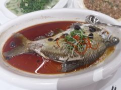 -陶缘一号·四季缘·老字号顺德菜·户外婚礼家宴(西滘店)
