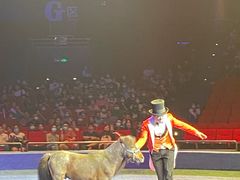 -珠海横琴长隆《卡卡虎奇遇记》