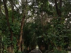 -南宁南湖公园