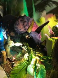 -恐龙探索乐园(磁器口店)