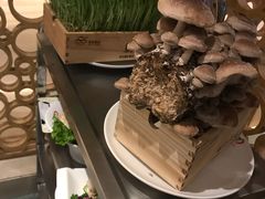 -七欣天香辣蟹火锅(苏州相城VIP总店)
