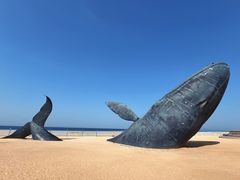 -烟台金沙滩海滨公园