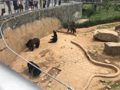 -无锡动物园·太湖欢乐园