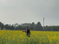 -光明小镇欢乐田园