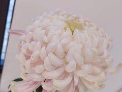 -汇龙潭