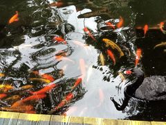 -海南槟榔谷黎苗文化旅游区