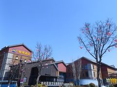 -茯茶镇