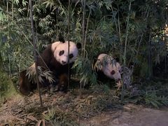 -天津自然博物馆