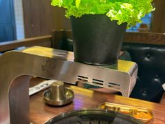 -九田家黑牛烤肉料理(新辰里亚运村店)