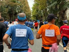 -上海海湾国家森林公园