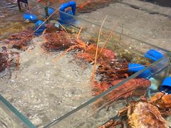 -渔傅·霞浦滩涂海鲜(建平店)