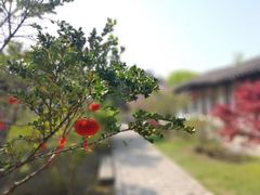 -雨花胜境
