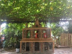 -呀路古热带植物园