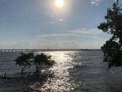 -宝安西湾红树林湿地公园