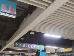 -大剧院(地铁站)